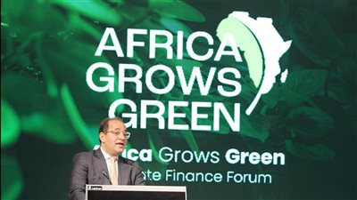 وزير المالية فى منتدى بالعاصمة الإدارية: الرهان العملى والأنجح على القطاع الخاص فى سد الفجوة التمويلية بين قدراتنا وأحلامنا