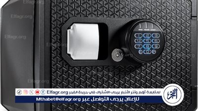 بعد سرقة نوال الدجوي.. المصريون يبحثون عن خزائن آمنة لمنازلهم