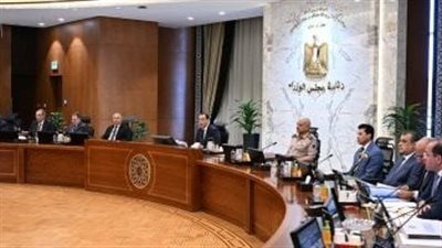 مدبولي: مشاركة الرئيس السيسى في يوم الحصاد تؤكد أهمية مشاركة القطاع الخاص بمجال الزراعة 