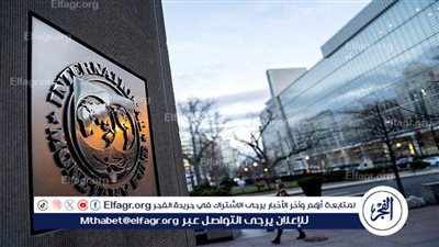 خبير اقتصادي يكشف حقيقة رفض صندوق النقد منح مصر شريحة جديدة من القرض