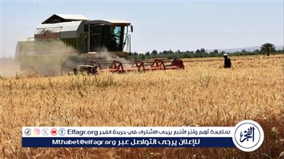 وزير الزراعة: طفرة في إنتاج القمح هذا الموسم والتوسع في البذور والري سر النجاح(فيديو)