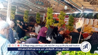 محافظ الدقهلية: استمرار انطلاق أسواق اليوم الواحد الجمعة والسبت كل أسبوع بمدينة المنصورة