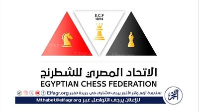 اتحاد الشطرنج عن شائعة إيقاف أحد لاعبيه: انتحل صفة غير رسمية والأولمبية تحقق معه