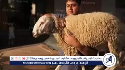 قبل عيد الأضحى.. المركز القومي للبحوث يكشف فوائد وأضرار الدهون الحيوانية ويوصي بتناولها باعتدال