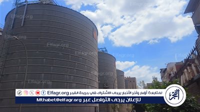 محافظ الدقهلية: توريد 250 ألف طن قمح منذ بداية موسم الحصاد 