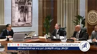 رئيس الوزراء يستقبل نائب رئيس 