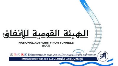 عاجل ـ الهيئة القومية للأنفاق: ضبط سارقي كابلات مونوريل شرق النيل وتحذير شديد من الاقتراب من المسار الكهربائي