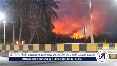 اندلاع حريق في حشائش الحلفا بجوار شريط السكة الحديد بمدينة ببا ببني سويف