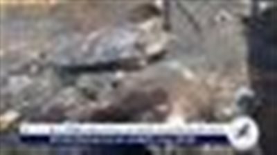  حريق هائل في حوش مواشى بقرية المطاعية بالبياضيه في الأقصر دون خسائر في الأرواح