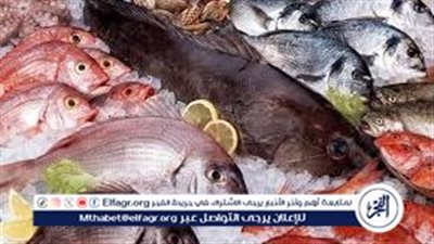 تعرف على أسعار الأسماك اليوم الثلاثاء الموافق 27-5-2025 فى سوهاج