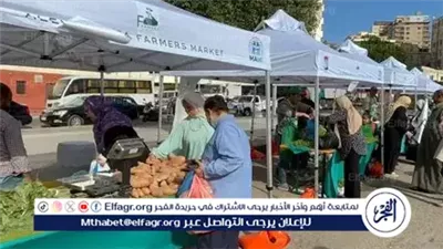 عناوين أسواق اليوم الواحد في محافظة الجيزة