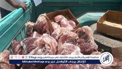 ضبط لحوم فاسدة وإعدام عجلين في حملة مكبرة بالفيوم