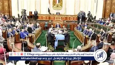 مجلس النواب يوافق على زيادة الحافز الإضافي للعاملين بالدولة 700 جنيه اعتبارًا من يوليو 2025