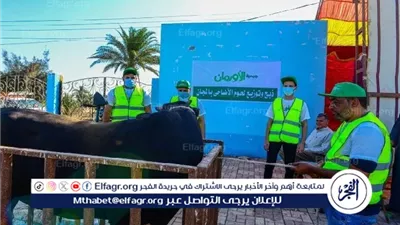 الأورمان والتضامن الاجتماعي بالفيوم يعلنان رفع حالة الاستعداد القصوى لتوزيع لحوم الأضاحي