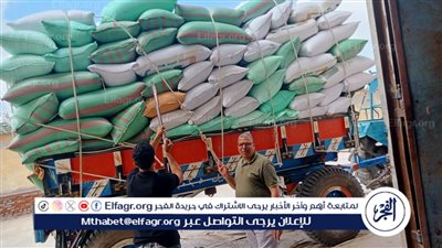 توريد 274 ألف طن قمح داخل شون وصوامع البحيرة (صور)
