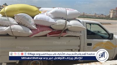 توريد 278 ألف طن قمح داخل شون وصوامع البحيرة