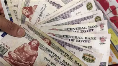 شروط حددها القانون لاستمرار صرف دعم برنامج تكافل للأسر المستفيدة