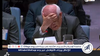 مندوب فلسطين بمجلس الأمن: لا مبرر لقتل 60 ألف شخصًا.. ونطالب بوقف العدوان والانسحاب الفوري من غزة