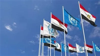 الأمم المتحدة تشيد بجهود مصر في عمليات حفظ السلام في إفريقيا
