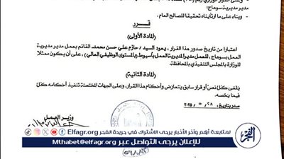 الفجر تنشر قرار وزير العمل بعودة الدكتور حازم على وكيلا للوزارة بأسيوط 
