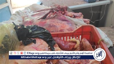 ضبط لحوم غير صالحة للاستهلاك وتحرير 118 محضرًا خلال حملات تموينية مكبرة بالمراكز والأحياء فى أسيوط 