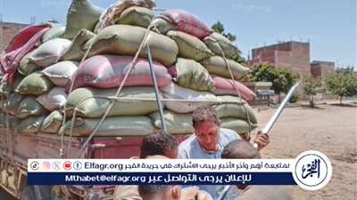 محافظ المنيا: توريد 483 ألف طن قمح منذ بدء موسم 2025