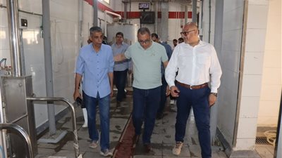 محافظ القليوبية يتفقد المجازر استعدادًا لعيد الأضحى - صور
