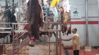 فتح 23 مجزرًا مجانًا أمام المواطنين خلال أيام عيد الأضحى المبارك بالجيزة