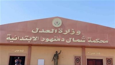 إحالة أوراق قضية ربة منزل قتلت طفلها انتقاما من زوجها وأهله في البحيرة لمفتي الجمهورية