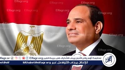 عاجل| السيسي يُصدر توجيهات جديدة لوزير الكهرباء 