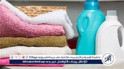 هتنضفي حمامك قبل العيد؟.. 4 أشياء يجب التخلص منها فورًا للحفاظ على صحة عائلتك