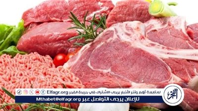 استقرار أسعار اللحوم اليوم الإثنين 2 يونيو 2025.. وتفاوت في الأسعار بين الأسواق والمنافذ الحكومية