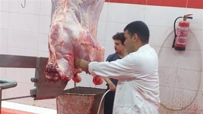 فتح 23 مجزرًا مجانًا للمواطنين خلال عيد الأضحى بالجيزة.. تعرف على أماكنهم