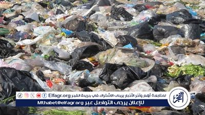 خبير بيئي يُحذر من مخاطر الأكياس البلاستيكية: 