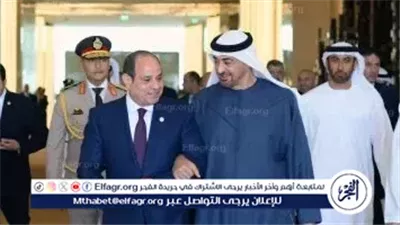 السيسي وبن زايد يؤكدان أهمية الوقف الفوري لإطلاق النار في غزة وتنسيق الجهود لتعزيز الاستقرار الإقليمي
