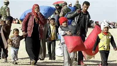 مقرر أممي معني بالحق في الغذاء: إسرائيل تستدرج الفلسطينيين للمساعدات في غزة ثم تقتلهم كالحيوانات