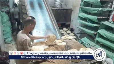 على مدار الساعة..  غرف عمليات تموين الإسكندرية تستمر  بحملاتها  بأيام عيد الأضحى المبارك 