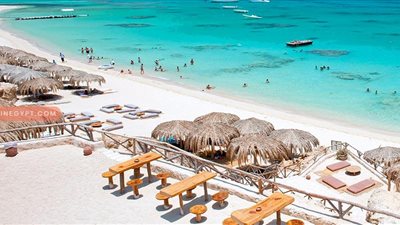 وزارة السياحة والآثار: تشكيل غرفة عمليات بالإدارة المركزية لشركات السياحة خلال أجازة عيد الأضحى المبارك 