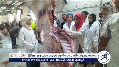 محافظ أسيوط: ذبح أكثر من 320 أضحية بالمجازر الحكومية فى أول وثاني أيام عيد الأضحى