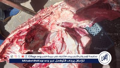 ضبط لحوم غير صالحة للاستهلاك الآدمي وتحرير 480 مخالفة تموينية فى أسيوط 