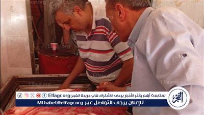 محافظ الدقهلية: ضبط 1670كيلو لحوم ودجاج مخالفة للمواصفات 
