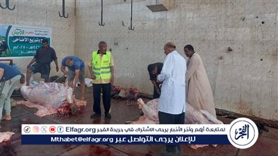 ذبح آمن واستعدادات مكثفة.. مجازر قنا في حالة طوارئ