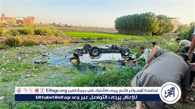 تفاصيل انقلاب ميكروباص في ترعة بالدقهلية