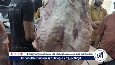 تحرير 17 محضر ذبح خارج السلخانة فى الغربية