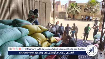 محافظ الدقهلية: استمرار توافد محصول القمح وتوريد 271 ألف طن بمراكز التوريد والتخزين 