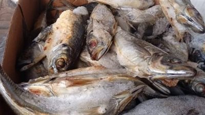 ضبط طن أسماك مجهولة المصدر بالمنوفية وتحرير 112 محضر مخالفات بالأسواق والمخابز