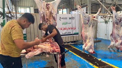 استمرار ذبح وتوزيع لحوم الأضاحي على القرى الأكثر احتياجًا بالغربية