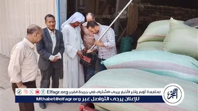 عام توريد استثنائي.. المنيا تتخطى المستهدف من محصول القمح بنسبة 131%