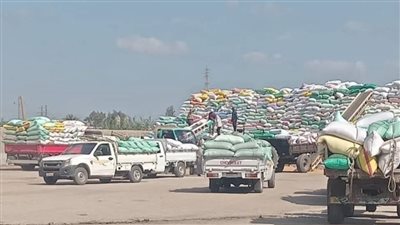 إنتظام سير العمل بمنظومة توريد القمح لشون وصوامع الشرقية