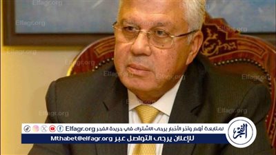 عاشور:جسور التنمية تساهم في ربط العقول المصرية لتحقيق التنمية المستدامة